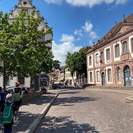 Hello Luxury Petite Venise 7 Pers Parking Velos コルマール