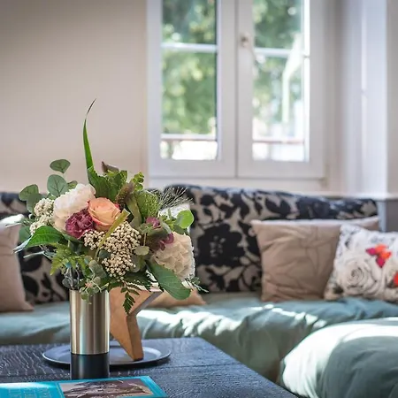 Hello Luxury Petite Venise 7 Pers Parking Velos Apartman Colmar