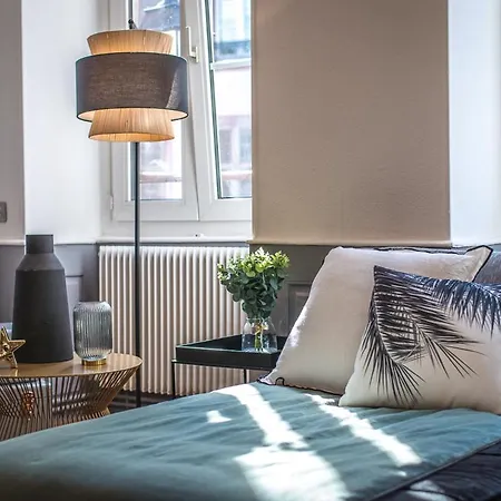 Apartment Hello Luxury Petite Venise 7 Pers Parking Velos Colmar