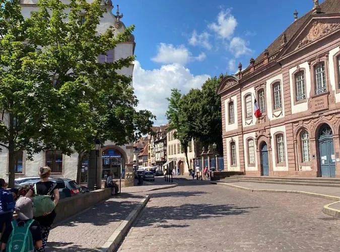 Hello Luxury Petite Venise 7 Pers Parking Velos Colmar