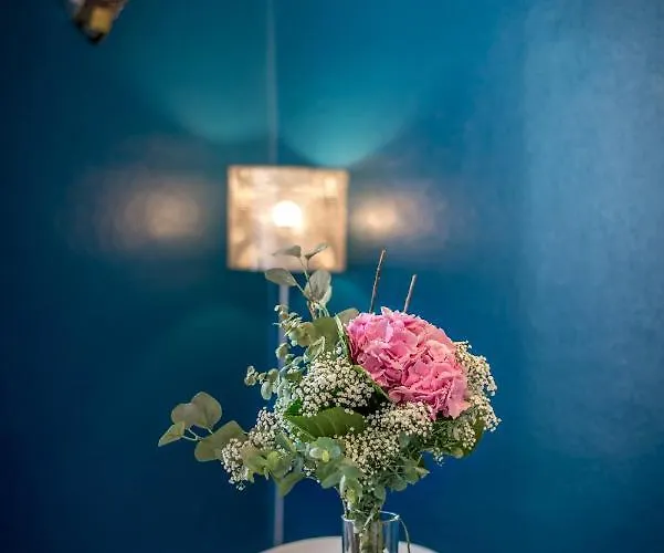 Hello Luxury Petite Venise 7 Pers Parking Velos Apartment