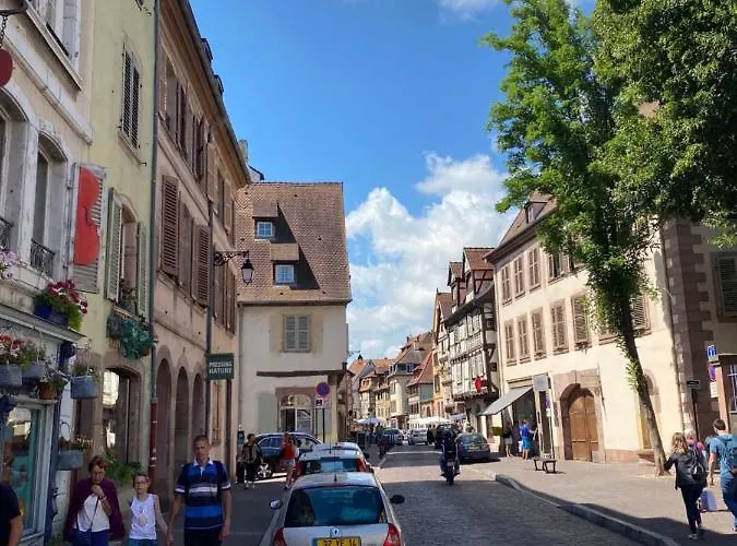 Hello Luxury Petite Venise 7 Pers Parking Velos Apartment Colmar